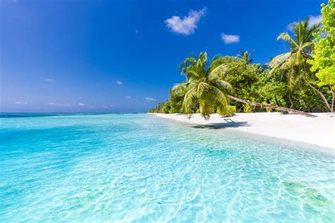 beautiful perfect tropical beach scenery backgrounds blue sea lagoon sky clouds background