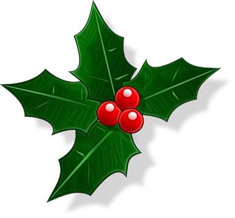 Common holly Christmas Day Clip art Vector graphics Image - png png image