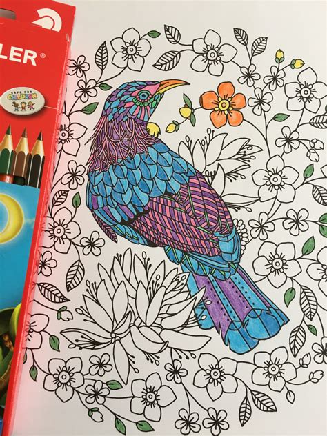 Gambar Pensil Kreatif Burung Ungu Pola Bersantai Warna
