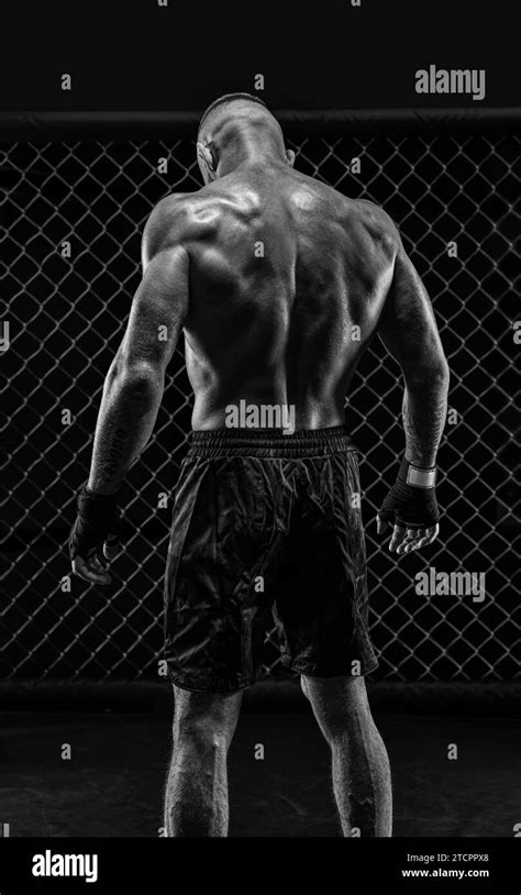 The Dramatic Black White Image Of The Mma Fighter Photography In A