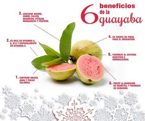 6 Beneficios De La Guayaba Guayaba Beneficios Beneficios De