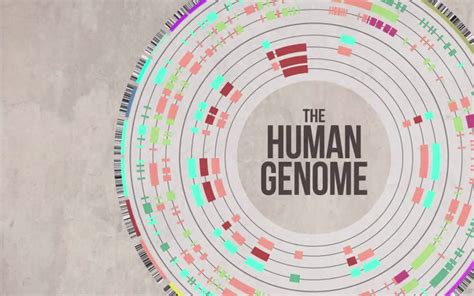 Human Genome Project Alchetron The Free Social Encyclopedia