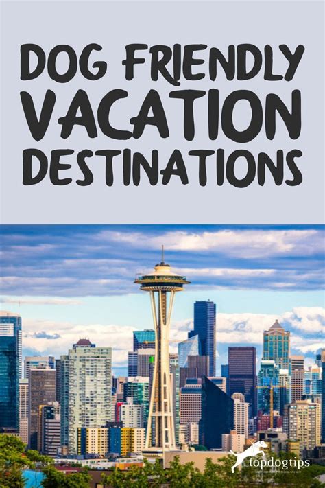 This Lists Details The Top Dog Friendly Vacation Destinations In The