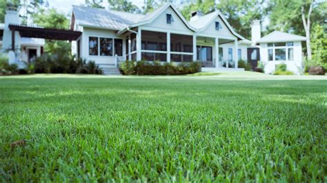 Types Of Zoysia Grass Archives Sod Solutions
