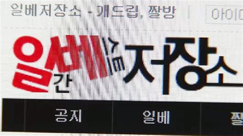 일베 커뮤니티에 아동 성 착취물 경찰 유포자 추적 YTN 동영상 Dailymotion