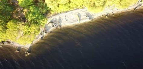 Loch Ness Monster Experts Slam New Sighting As Hoax After Clip Goes