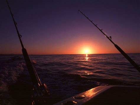 Fishing The Sunset Saltwater Fishing Rods Saltwater Fishing Fish