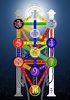 File:Tree of Life 2009 large.png - Wikipedia