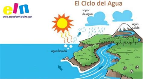 El Ciclo Del Agua Para Niños De Primaria Hay Niños