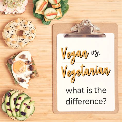 What Is The Difference Between Vegan Vs Vegetarian Diets