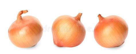 Three Whole Fresh Onion Bulbs Isolated On White Stock Image Image Of