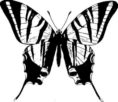 Onlinelabels Clip Art Simple Butterfly