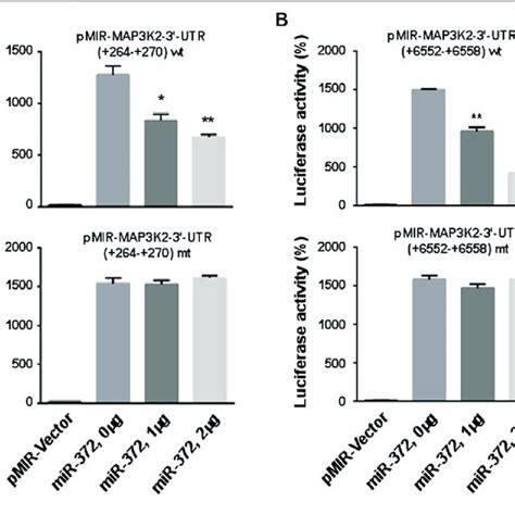 mir 372 3p modulated the expression of map3k2 by targeting its 3′ utr download scientific