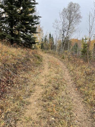 Best Hikes And Trails In Fort Assiniboine Sandhills Wildland Provincial