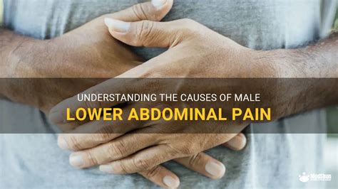 Understanding The Causes Of Male Lower Abdominal Pain MedShun
