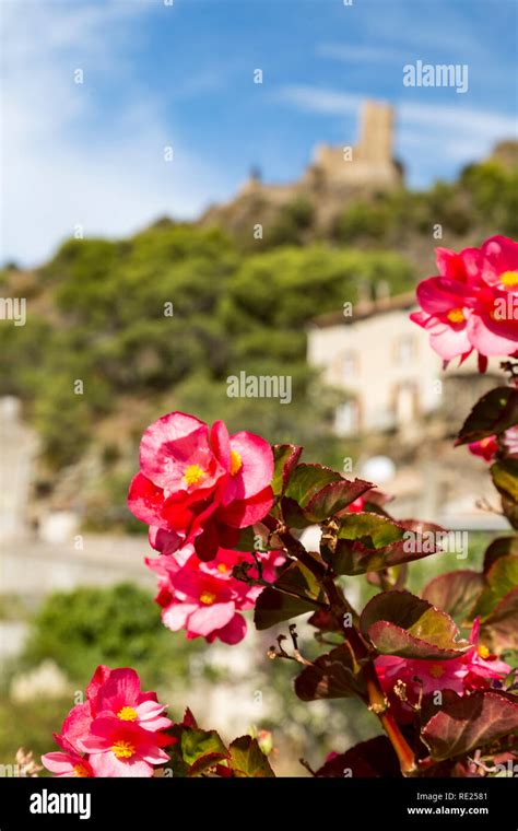 Roses And Castles Hi Res Stock Photography And Images Alamy