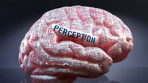 Perception And A Human Brain Stock Illustration Illustration Of Brain Ideas 253446534