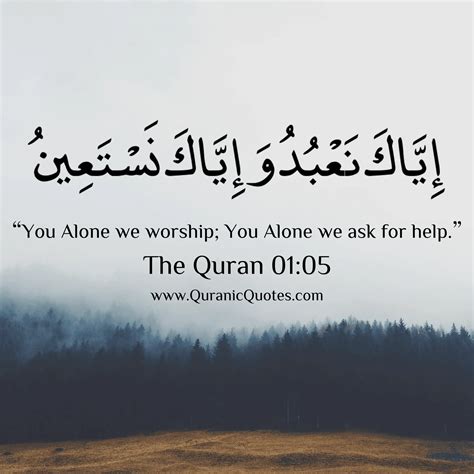 Wise Quran Quotes To Lead You Through Life