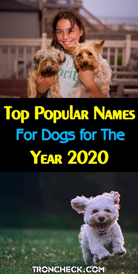 Find j names for boys at babynamewizard.com | baby name wizard Top 100 Most Popular Names Male and Female Dogs in The ...