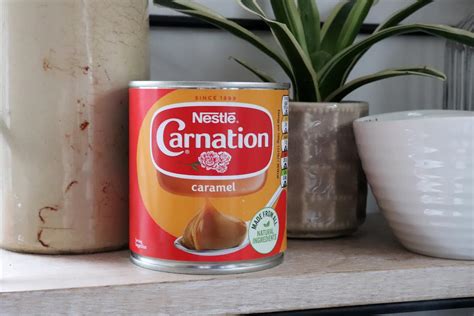 Nestle Carnation Condensed Milk Fudge Recipe Deporecipe Co