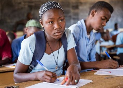 Girls Education In Niger Requires Serious Improvement The Borgen Project