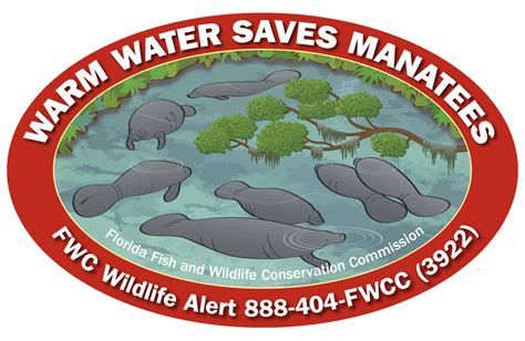 Fwc Manatee And Sea Turtle Conservation Decals Now Available