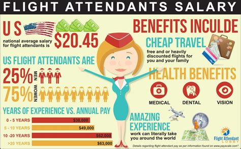Awesome Flight Attendant Salary Infographic To Help You Understand How Much Does A Flight