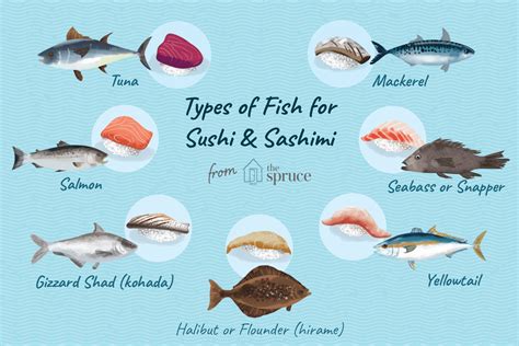 Choosing Fish And Seafood For Sushi Or Sashimi