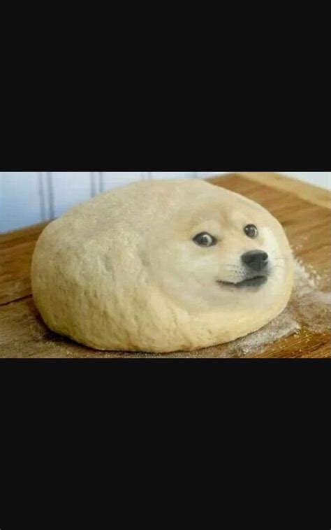 Dough Doge Doge Meme Doge Funny Animal Memes