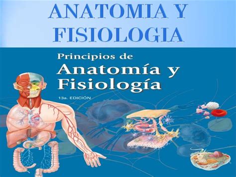Anatomia Y Fisiologia Humana By Perezferin28 Issuu