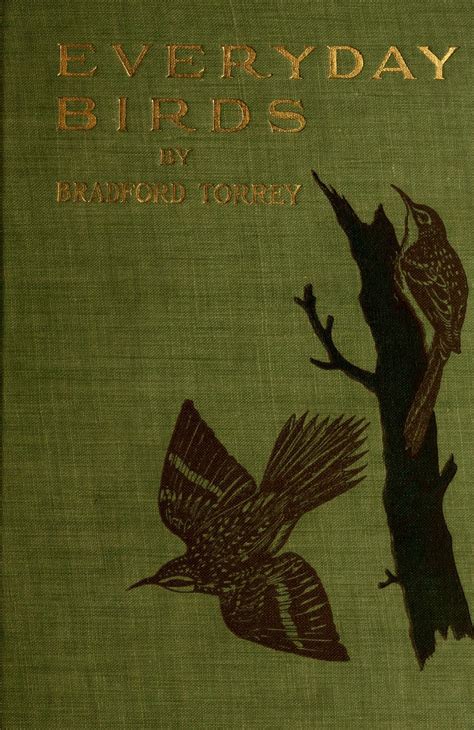 Everyday Birds Biodiversity Heritage Library Beautiful Book Covers