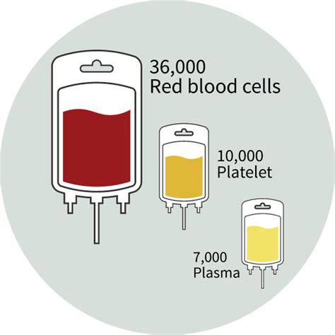 Blood Donation Facts And Statistics Become A Blood Donor