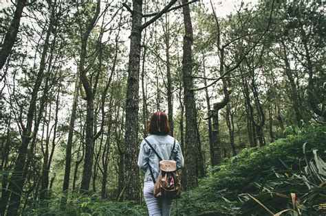 Free Images Nature Forest Wilderness Walking Person