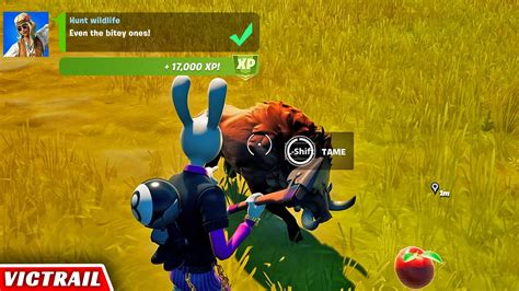 How To Tame Wildlife In Fortnite Chapter 2 Season 7 Daily Xp Quest