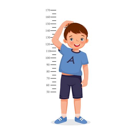 Height Measurement Clipart For Kids