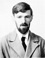 D. H. Lawrence - Wikipedia
