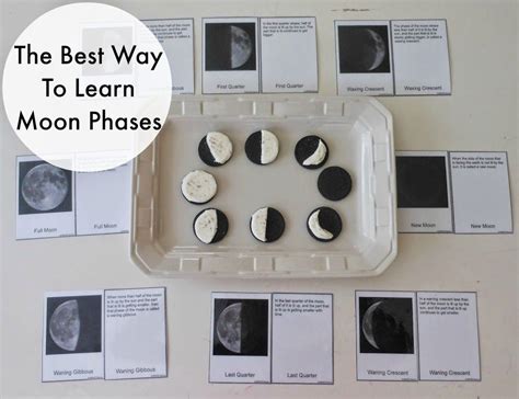 Teaching The Phases Of The Moon Moon Phases Free Printables Hands On