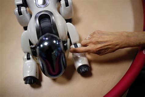 Ageing Japan Robots Role In Future Of Elder Care The Wider Image