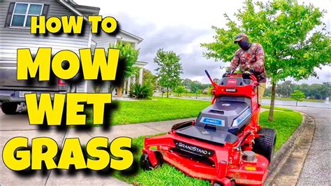 How To Mow A Lawn That Is Wet Or Damp Mowing Wet Grass Tips And Tricks