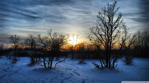 Download Winter Sunset Scene Wallpaper 1920x1080