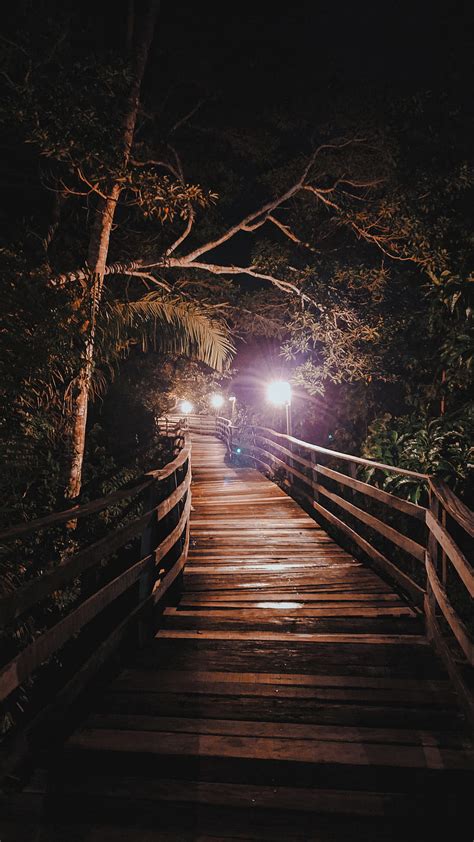 Amazon Forest Night Bridge Dark Trees Hd Phone Wallpaper Peakpx