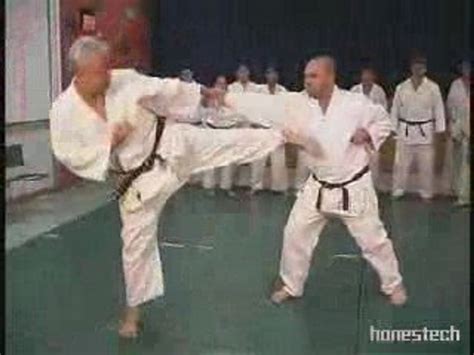 Karate Punches Strikes Kicks Moves And Techniques Video Dailymotion