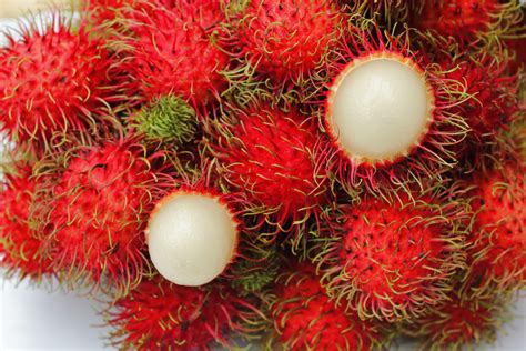 Indonesianfruit Rambutan Or Hairy Lychee