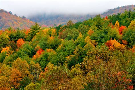 Best Time To Visit Smoky Mountains For Fall Colors 2020 Best Of Worlds