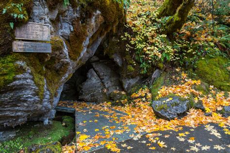 Travel Southern Oregon Discover The Oregon Caves