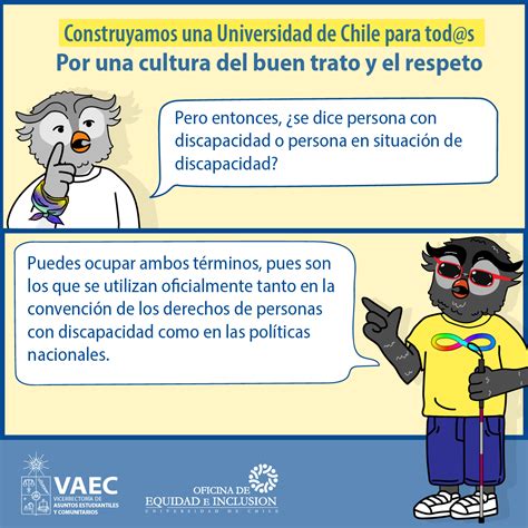 Infografía de uso de un lenguaje inclusivo en discapacidad Universidad de Chile