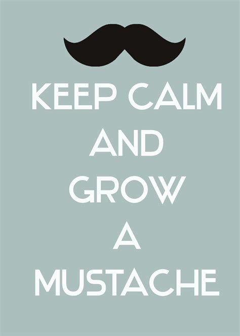 Keep calm quotes design graphics life look busy. Funny Mustache Keep Calm Quotes. QuotesGram