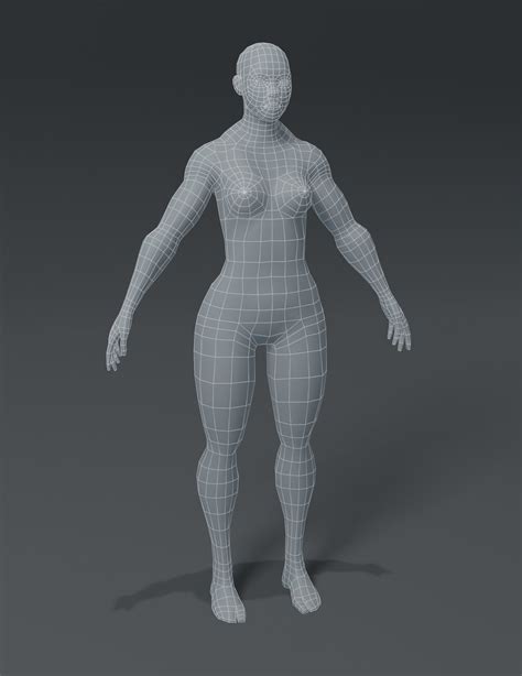 Artstation Human Body Base Mesh 10 3d Models Pack Game Assets