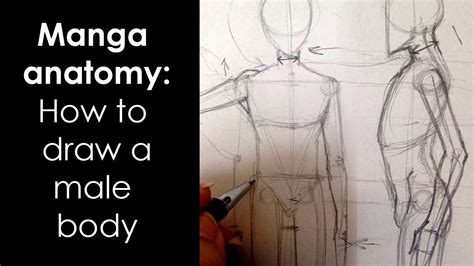 Manga Anatomy How To Draw Male Body Full Lesson Youtube