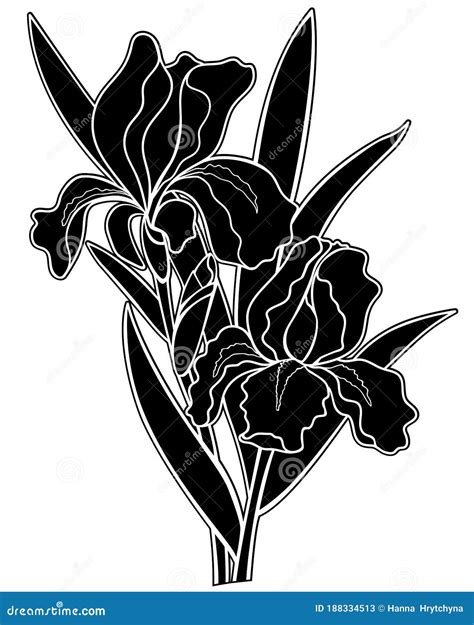 Irises Flowers Black Silhouette Stock Illustration Iris Two